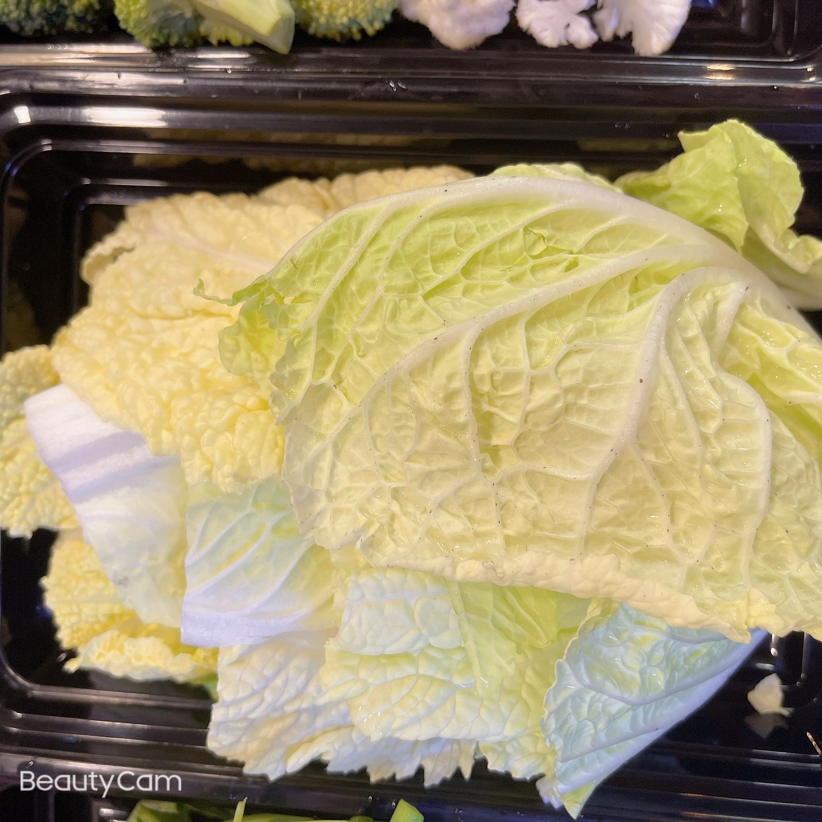 Chinese Cabbage